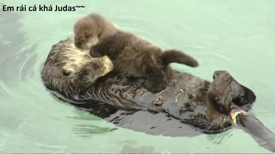 sự lụi tàn của usuzumi chapter 93 69