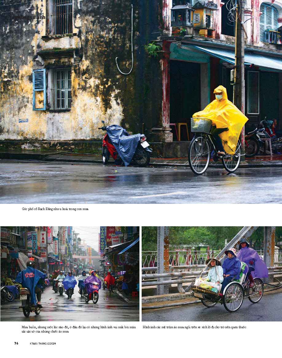 Tạp chí Kiến Trúc và Đời Sống số 222 (Tháng 12-2024) _Trang trí nhà đón tết