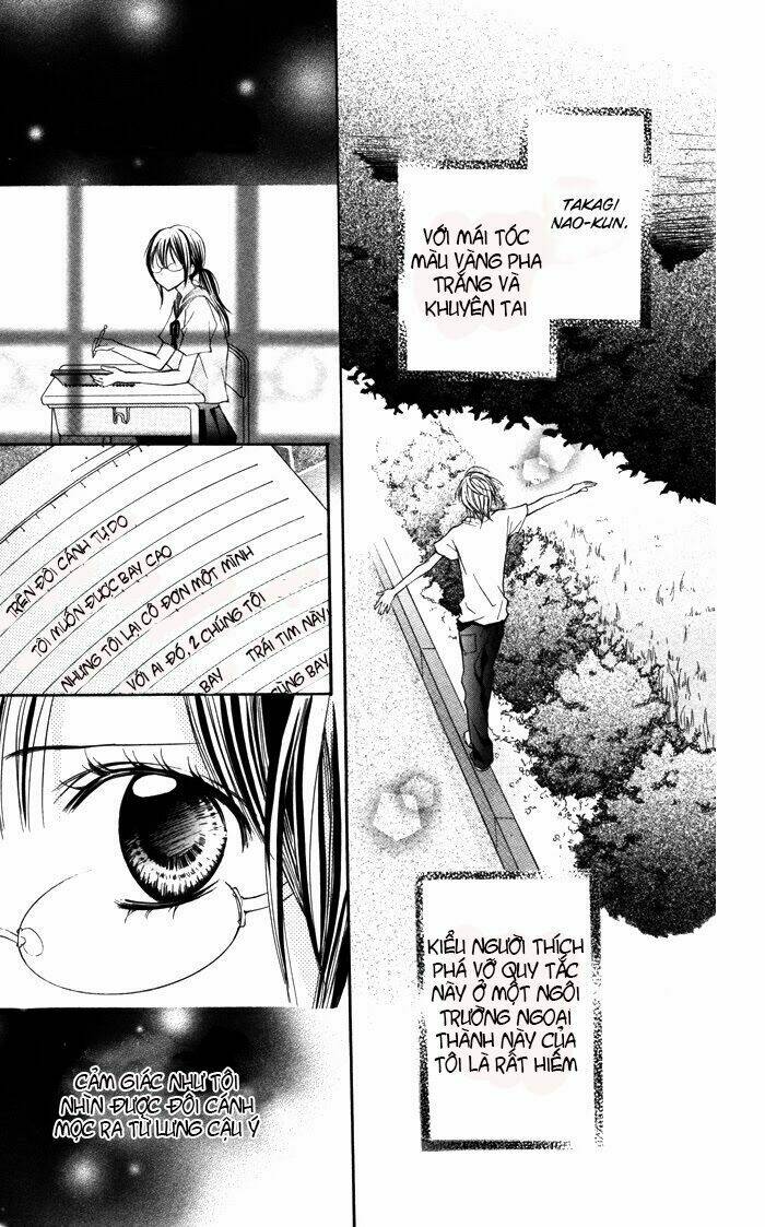 hitoribocchi wa samishikute chapter 1 13