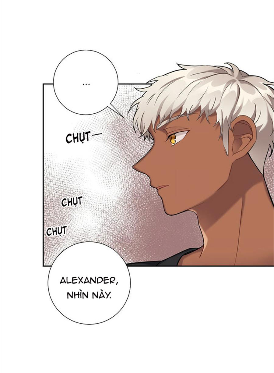 cô chủ và người hầu chapter 21 28