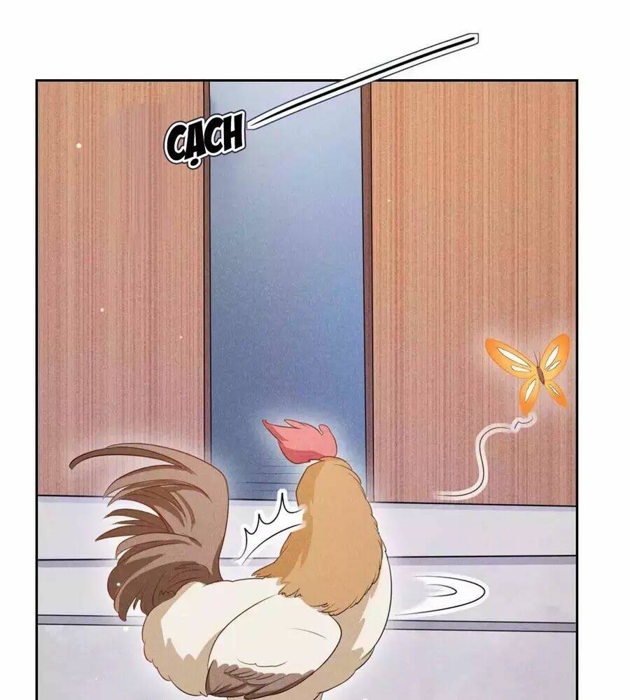 hoàng tử phu quân, ta nuôi ngươi a! chapter 17 38