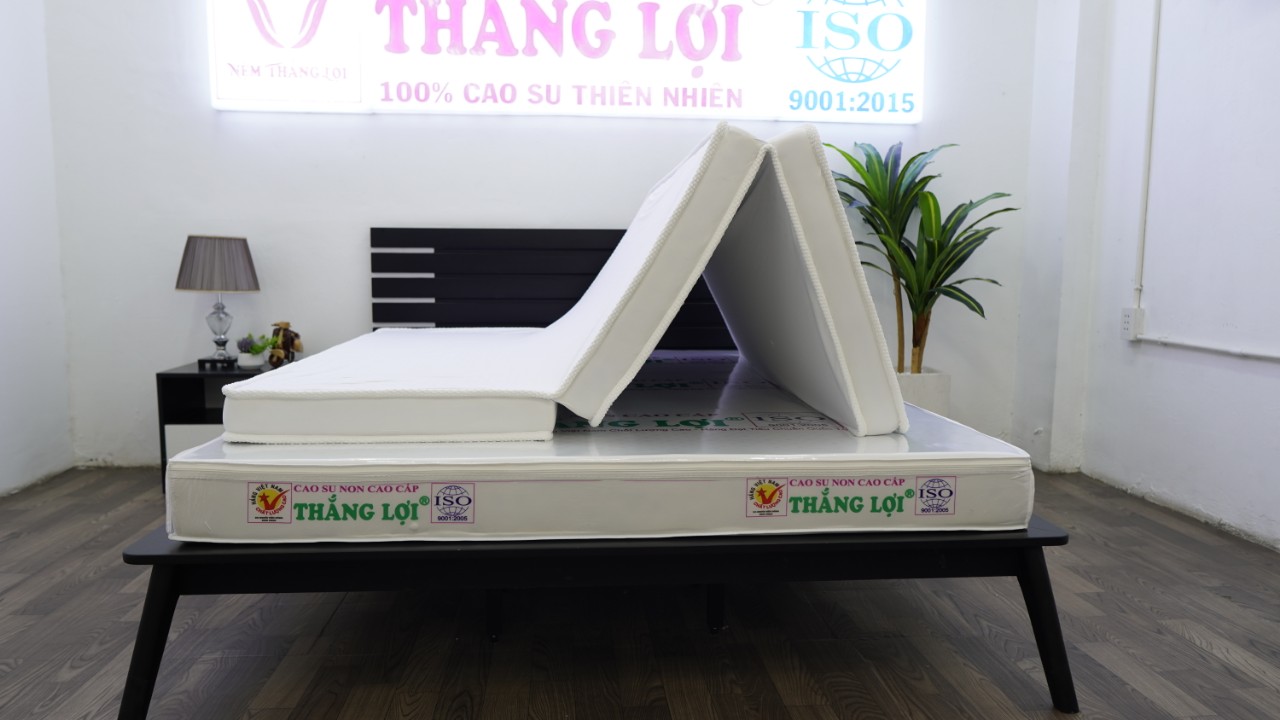 Nệm Cao Su Non Cao Cấp Thắng Lợi Hàng Chính Hãng Bảo Hành 15 Năm Sụt Lún - Chỉ Có Nệm - 1M4X2Mx10Cm Gấp 3