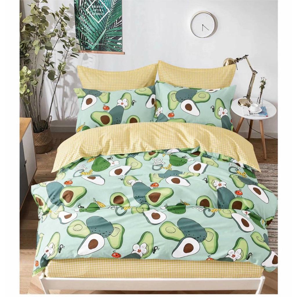 Chăn ga gối cotton 100% JejuBedding