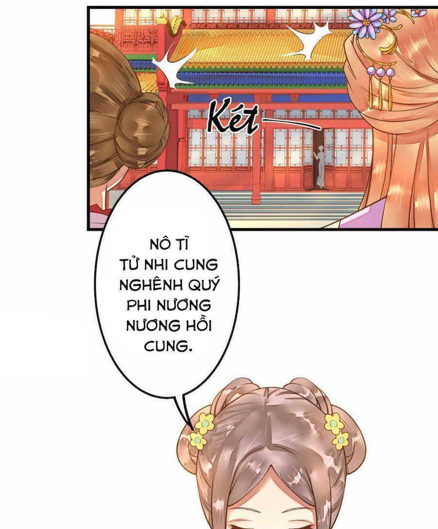 quý phi này có chút cơ chapter 8 8