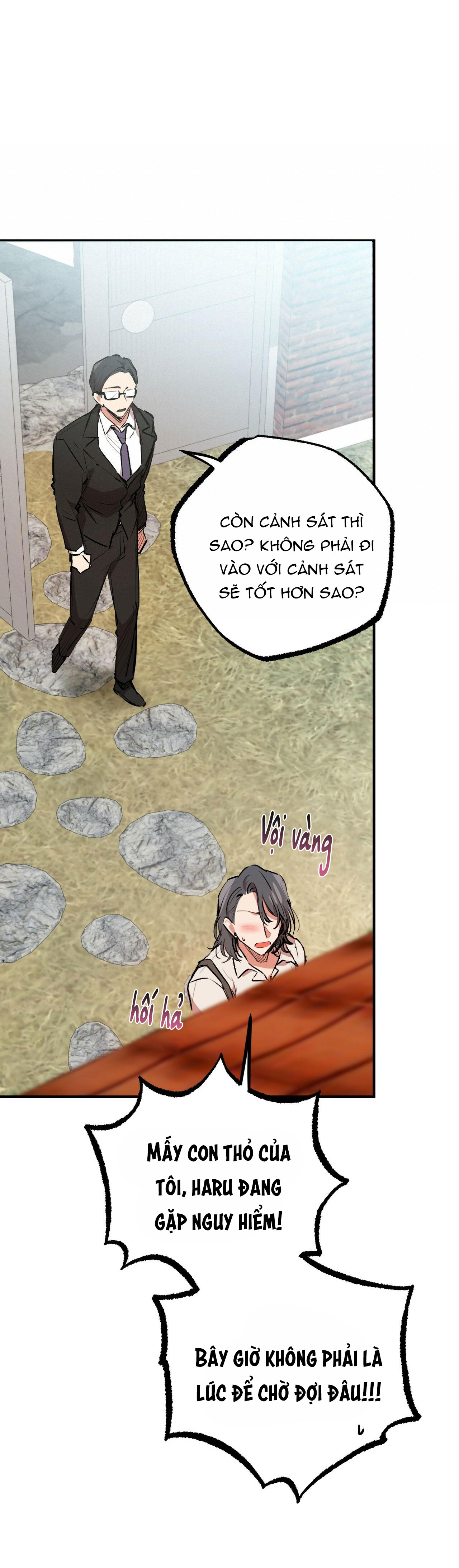 những chú thỏ của hapypy chapter 33 52