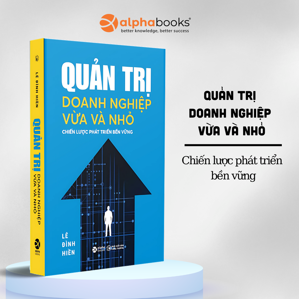 Quản Trị Doanh Nghiệp Vừa Và Nhỏ - Chiến Lược Phát Triển Bền Vững - Lê Đình Hiền - Alpha Books