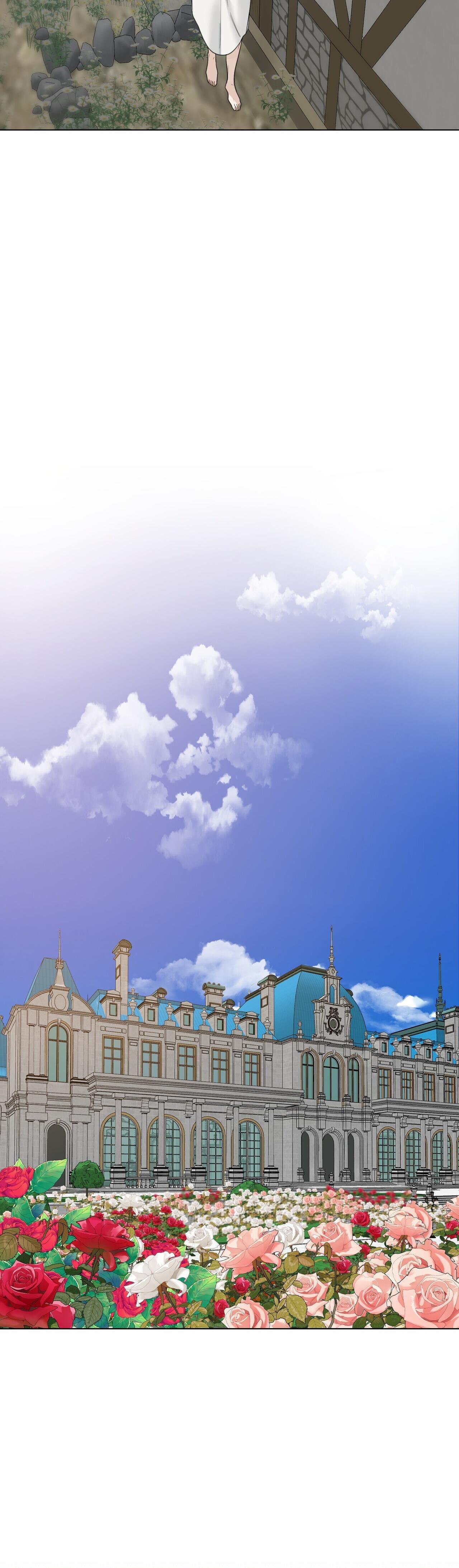 bước vào vườn hồng chapter 16 6