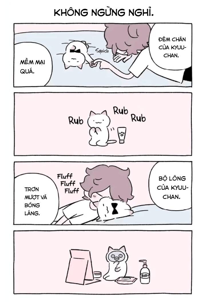 chú mèo kỳ diệu kyuu-chan chapter 727 3