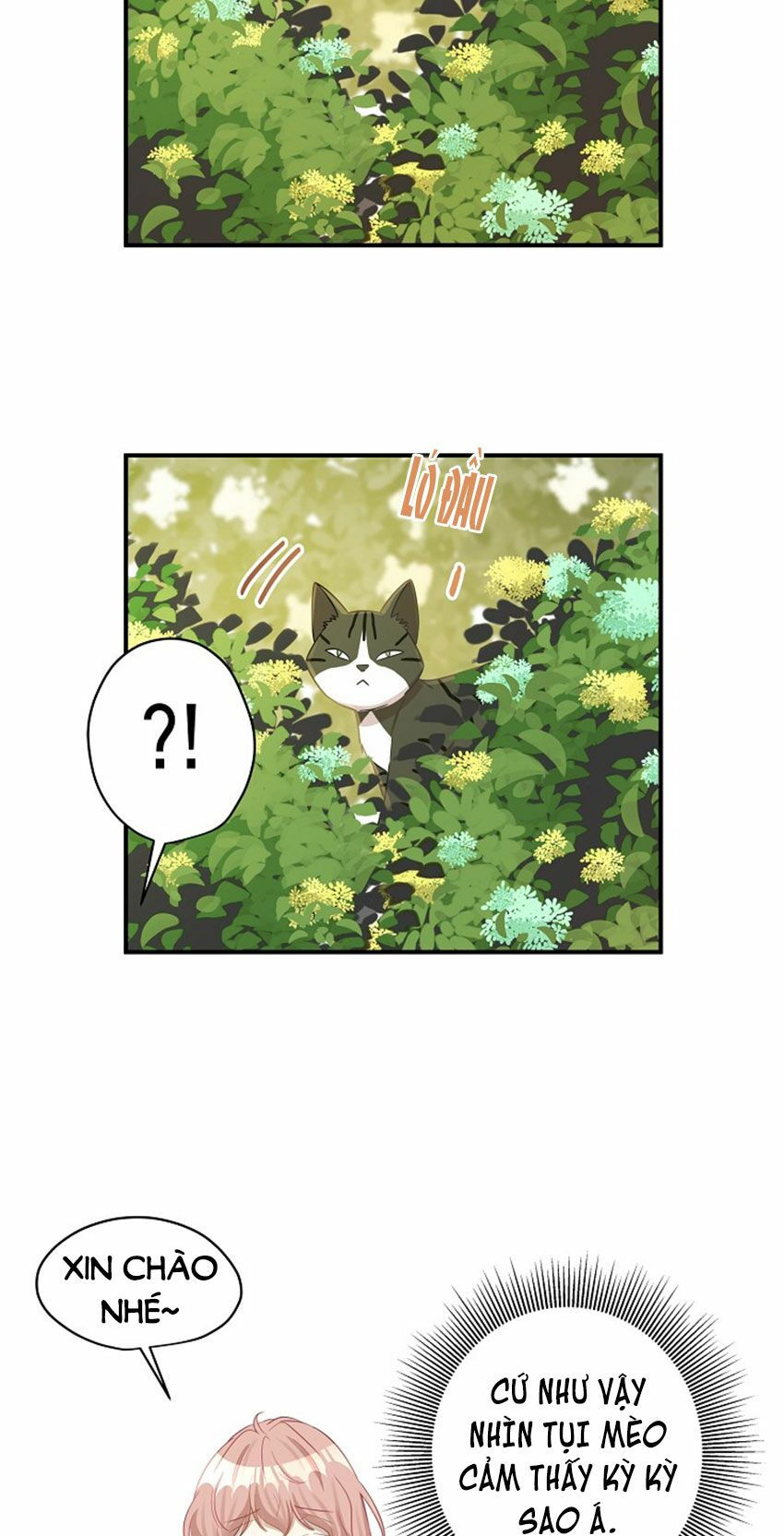 cuộc sống kỳ thú chapter 20 25