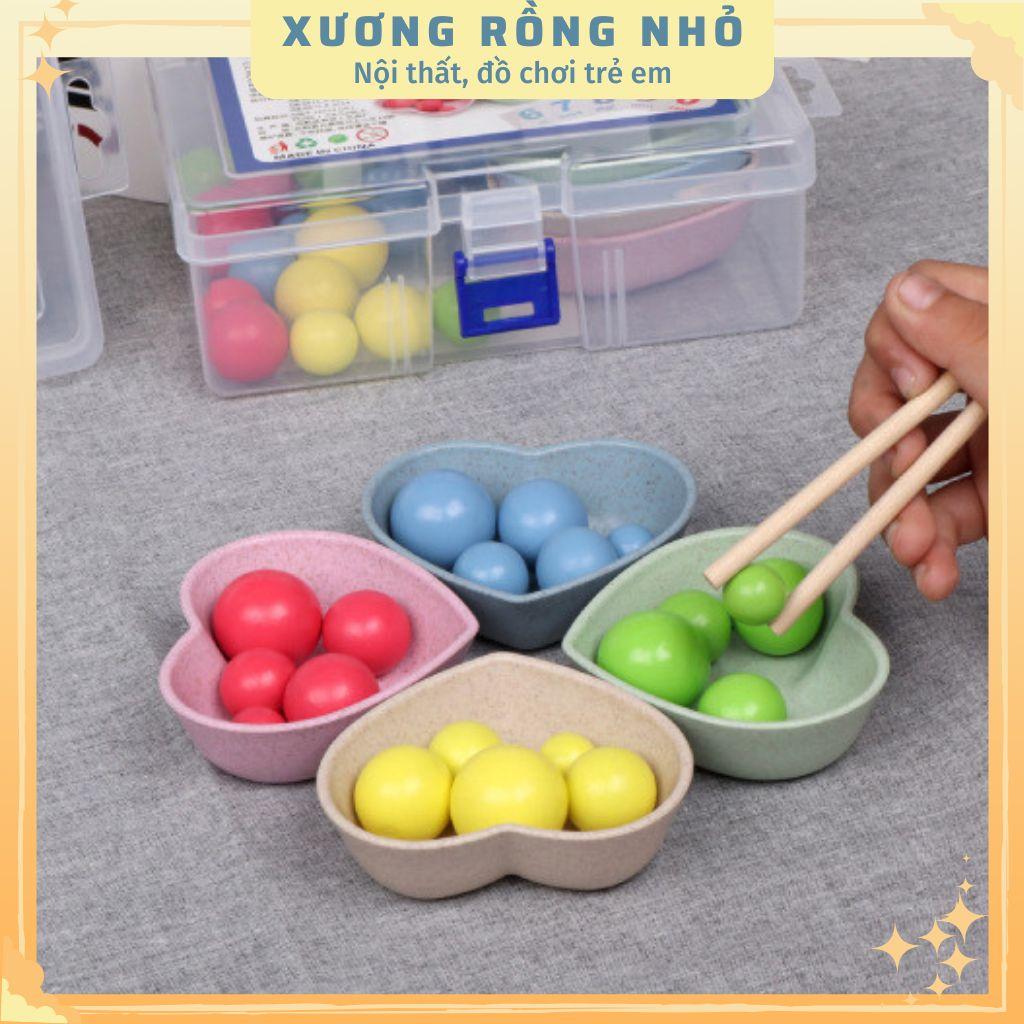 Đồ Chơi Gắp Bi Gỗ - Giáo Cụ Montessori Luyện Vận Động Tinh, Sự Khéo Léo, Tập Trung Cho Bé