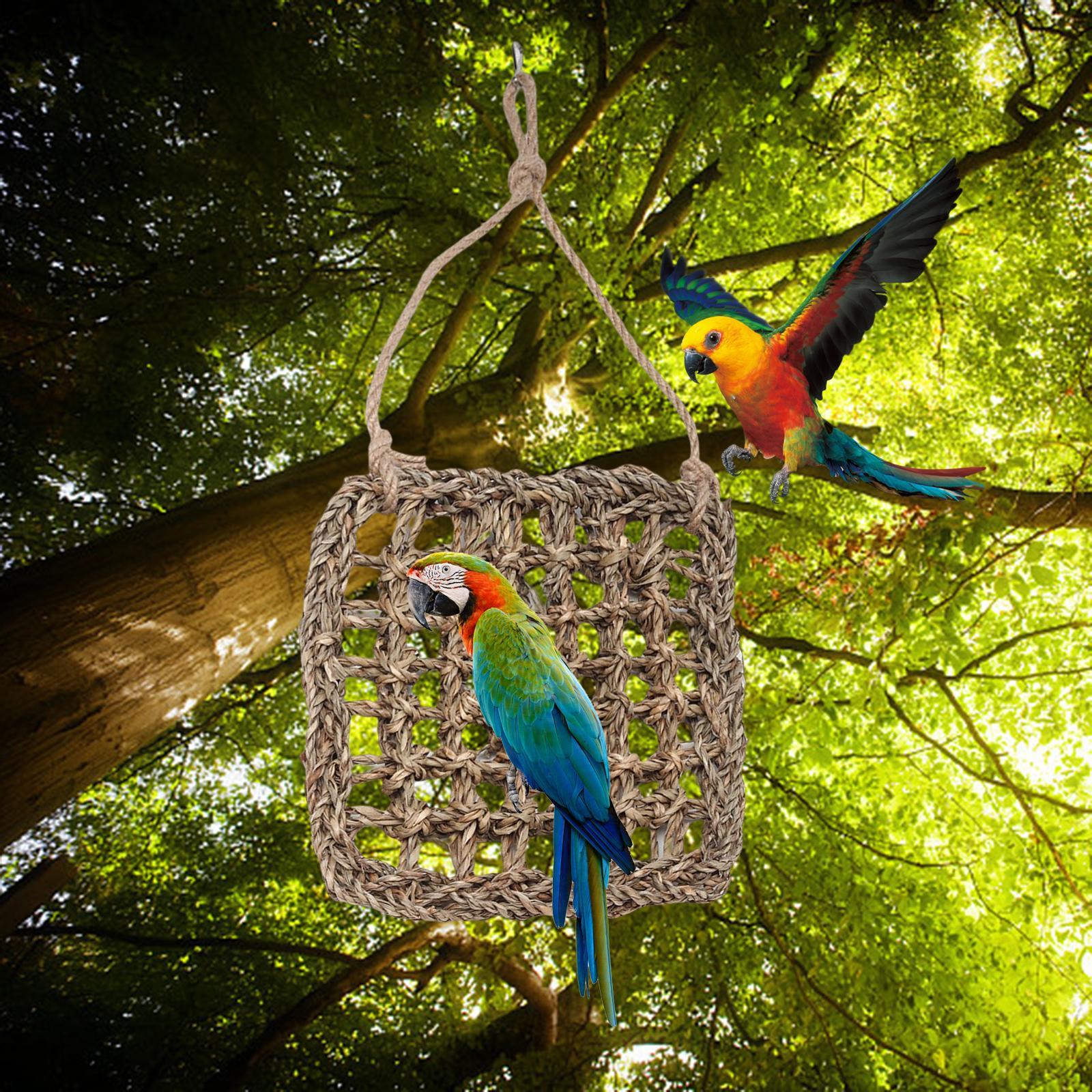 Climbing Ladder Hammock Activity Toy Bird Climbing Net for Finches Parakeets S