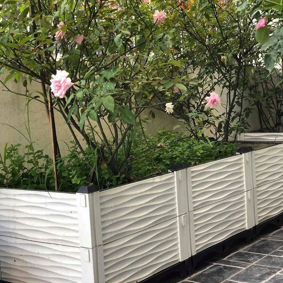 CHẬU GHÉP THÔNG MINH Cm: Bền từ 8-10 năm, phù hợp mọi cây trồng và không gian, Module tùy biến kích thước, an toàn, trọng lượng nhẹ, kết cấu chắc chắn, có khay trữ và thoát nước.