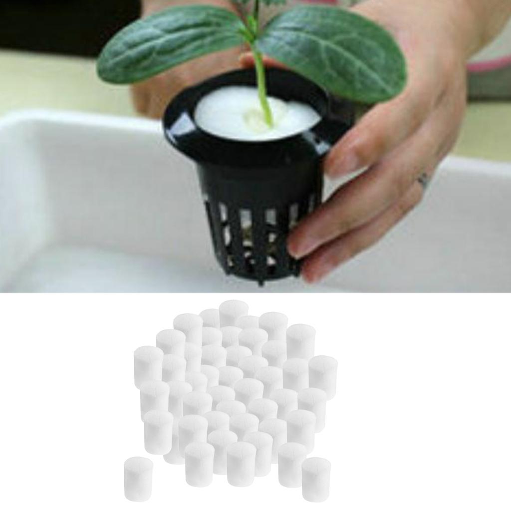 Set 50 Mút Tẩm Nước Trồng Cây Không Cần Đất