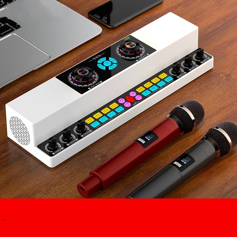 Bộ Điều Chỉnh Âm Thanh di động mixer KTV PlayTech gồm 2 micro - thay đổi âm thanh tùy ý