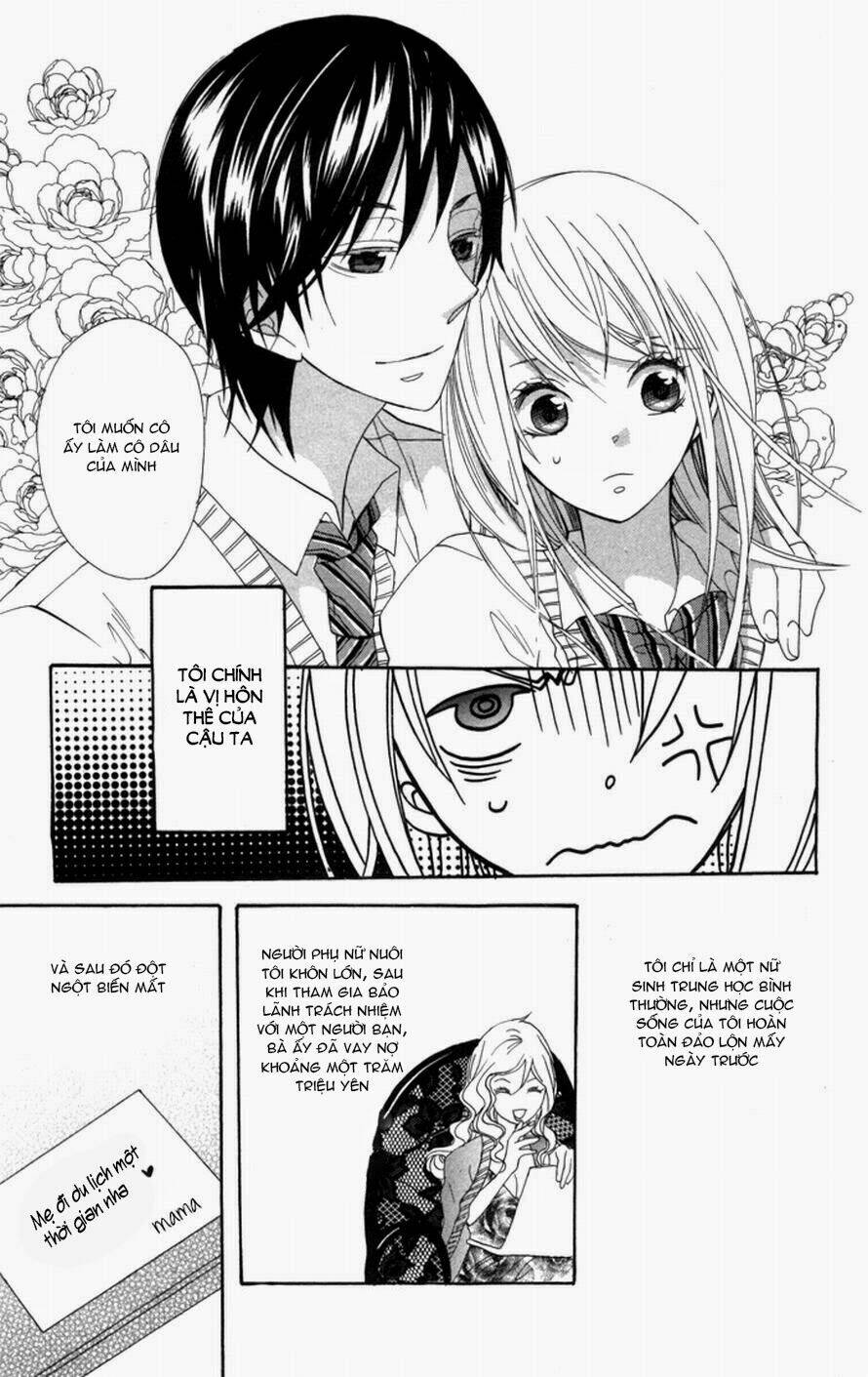 hoa hồng hoang dã chapter 1 8