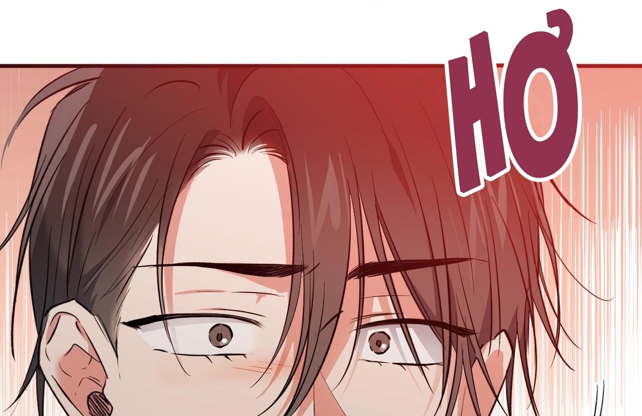 những chú thỏ của hapypy chapter 61 94