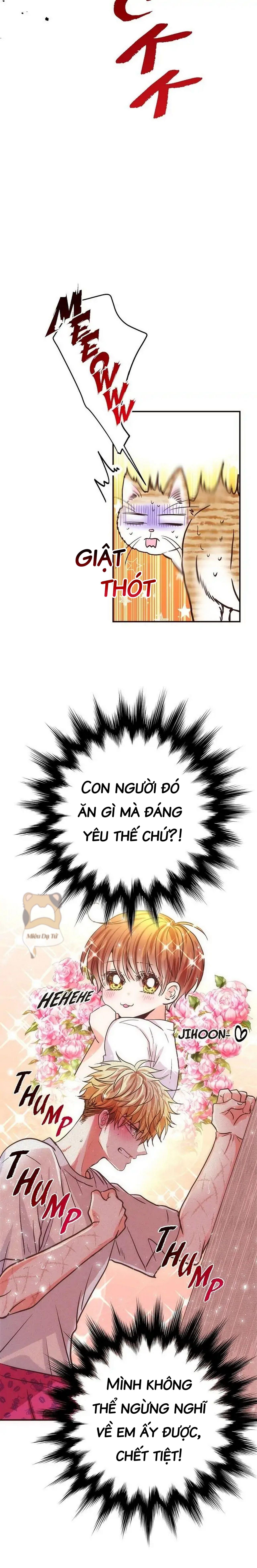 mối quan hệ phù hợp chapter 20 5