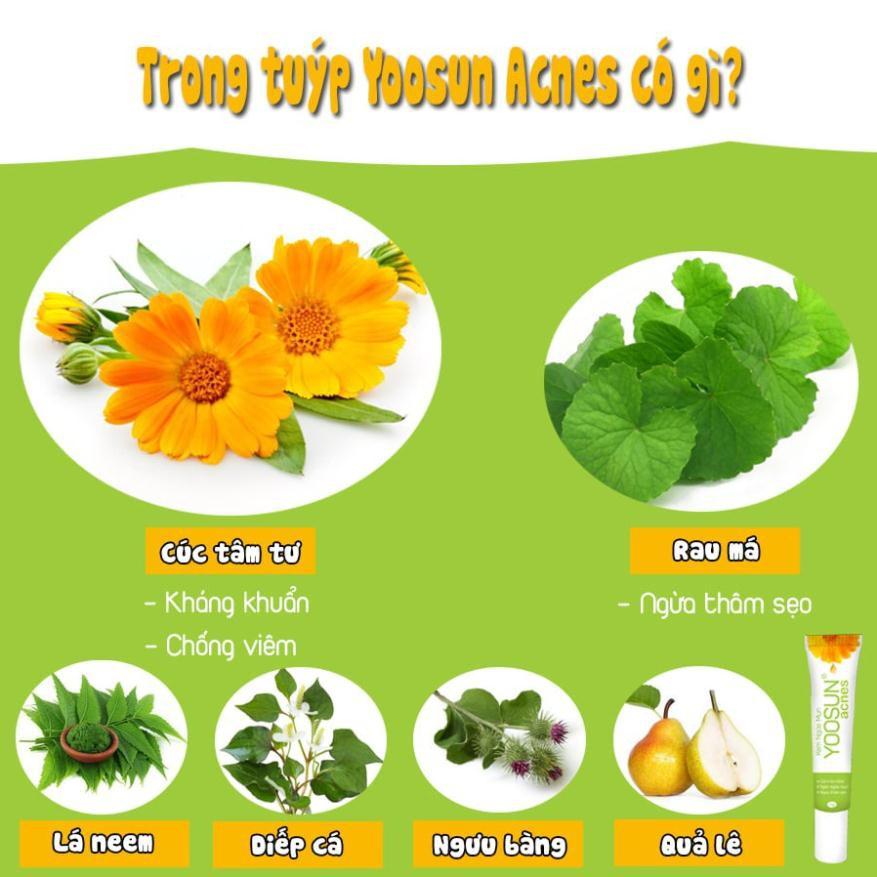 Kem ngừa mụn thiên nhiên Yoosun acnes 15g