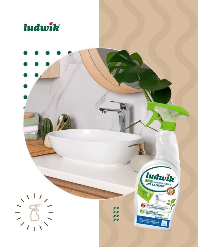 Dung dịch vệ sinh nhà bếp Ludwik eco-loại 750 ml