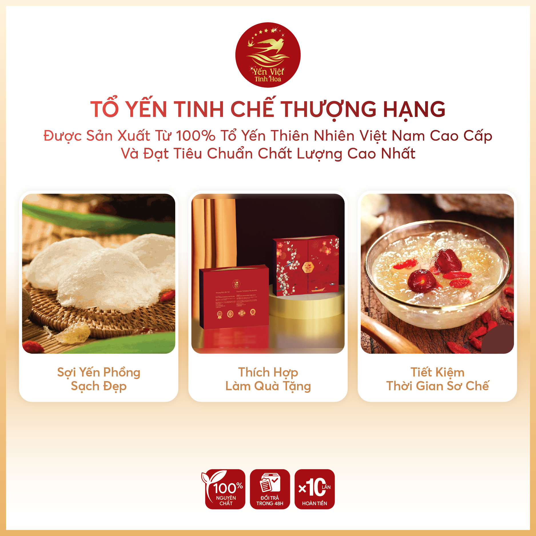 Tổ yến Tinh chế thượng hạng 100 gram Yến Việt Tinh Hoa - Hàng chính hãng