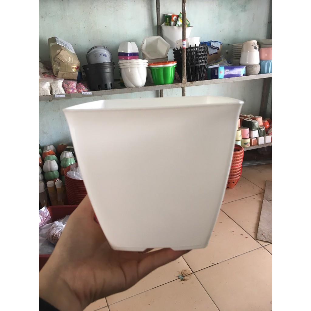 5 chậu nhựa vuông kt 16x16cm