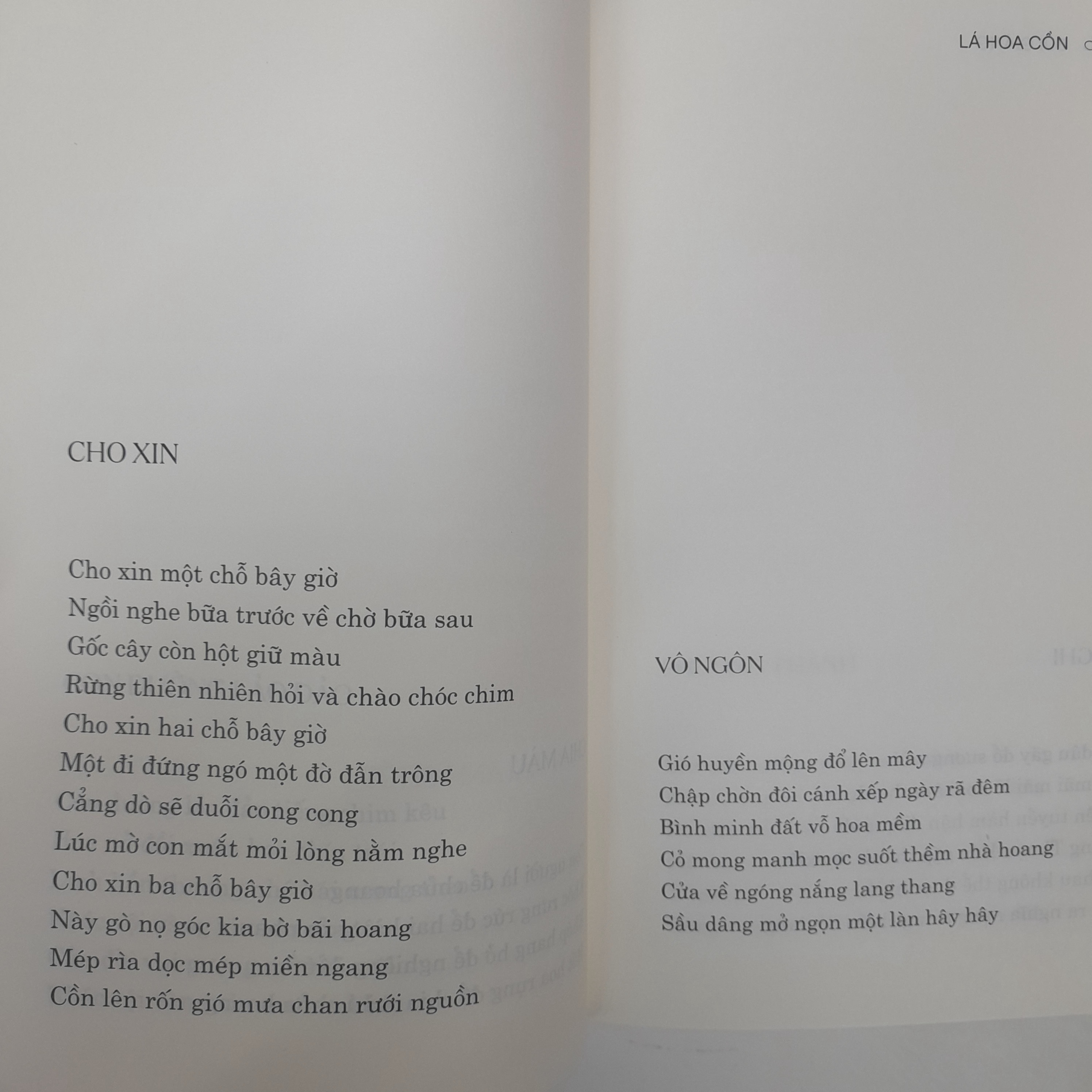 Tập thơ - Lá Hoa Cồn (Bùi Giáng)