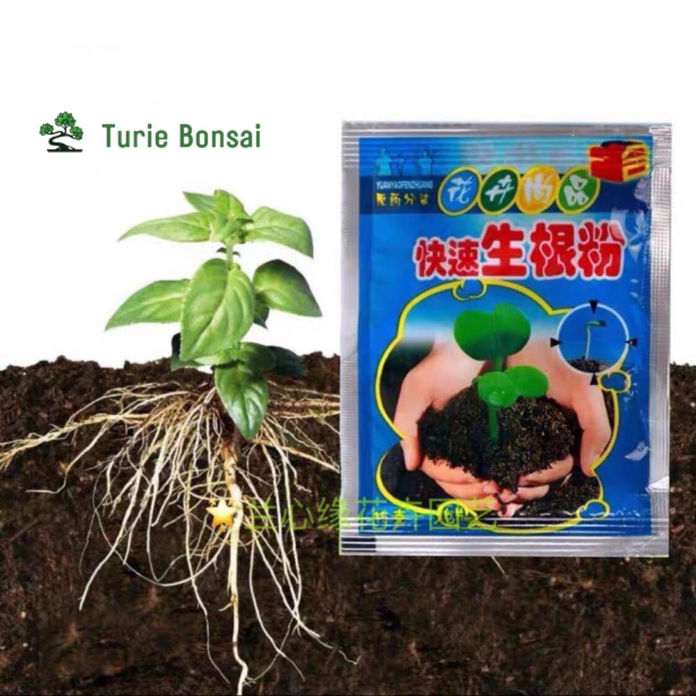 Thuốc kích rễ và kích nảy mầm hạt giống nhanh nảy mầm và ra dễ