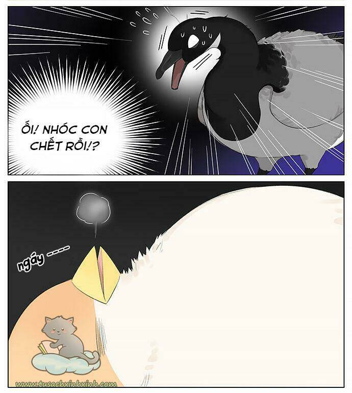 chim sẻ gọi ngỗng trời chapter 12 2