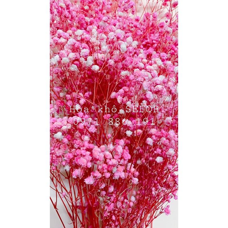 Hoa Baby Bloom hồng baby Gypsophila hoa khô trang trí phòng