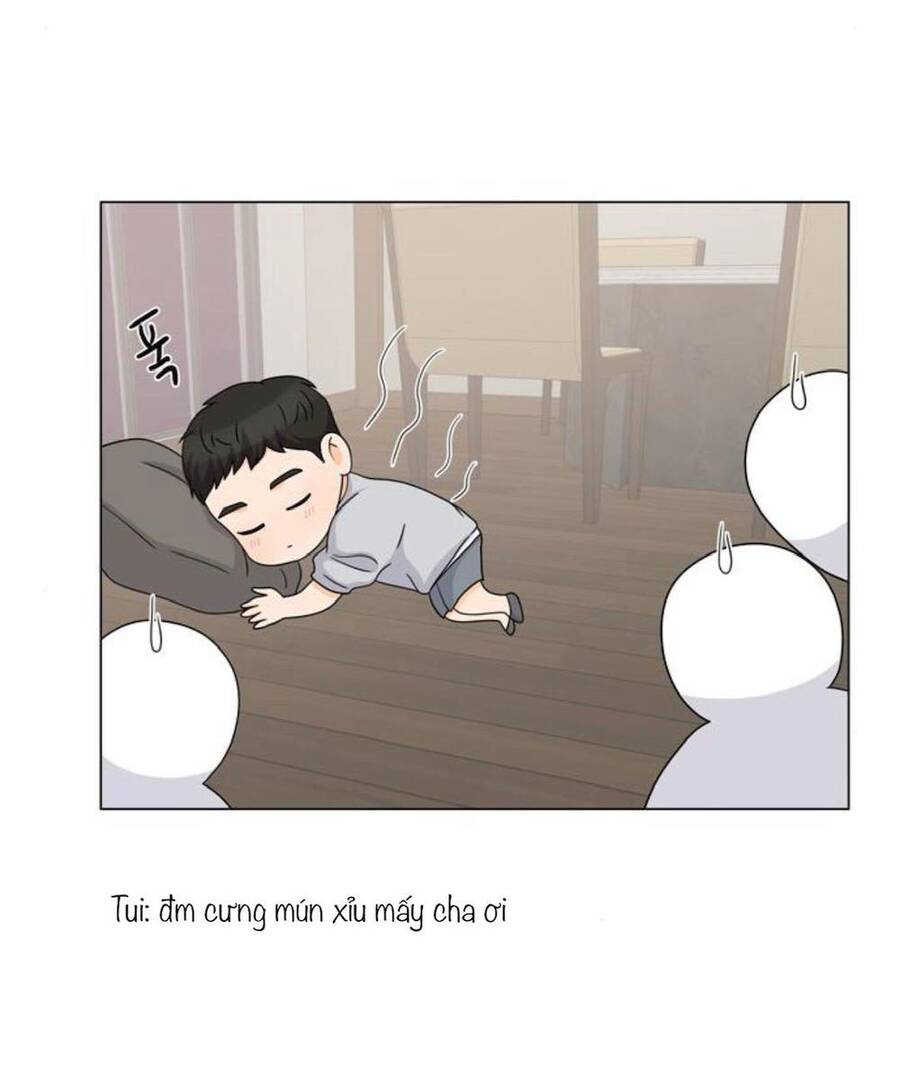 idol và sếp, em yêu ai? chapter 60 9