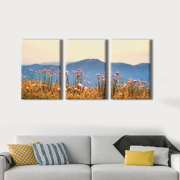 Bộ 3 Tranh Canvas "Đồng Hoa Dại"- W119
