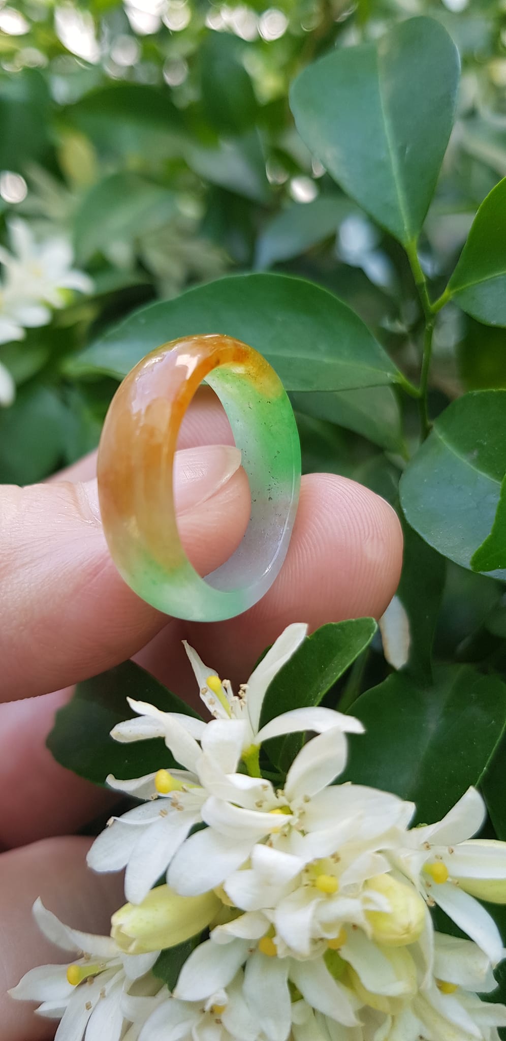 Nhẫn đeo tay nữ đá cẩm thạch tự nhiên Màu Vàng xanh trắng bóng đẹp Nhẫn Ni 17mm x cao 6mm x dầy 2,2mm ạ