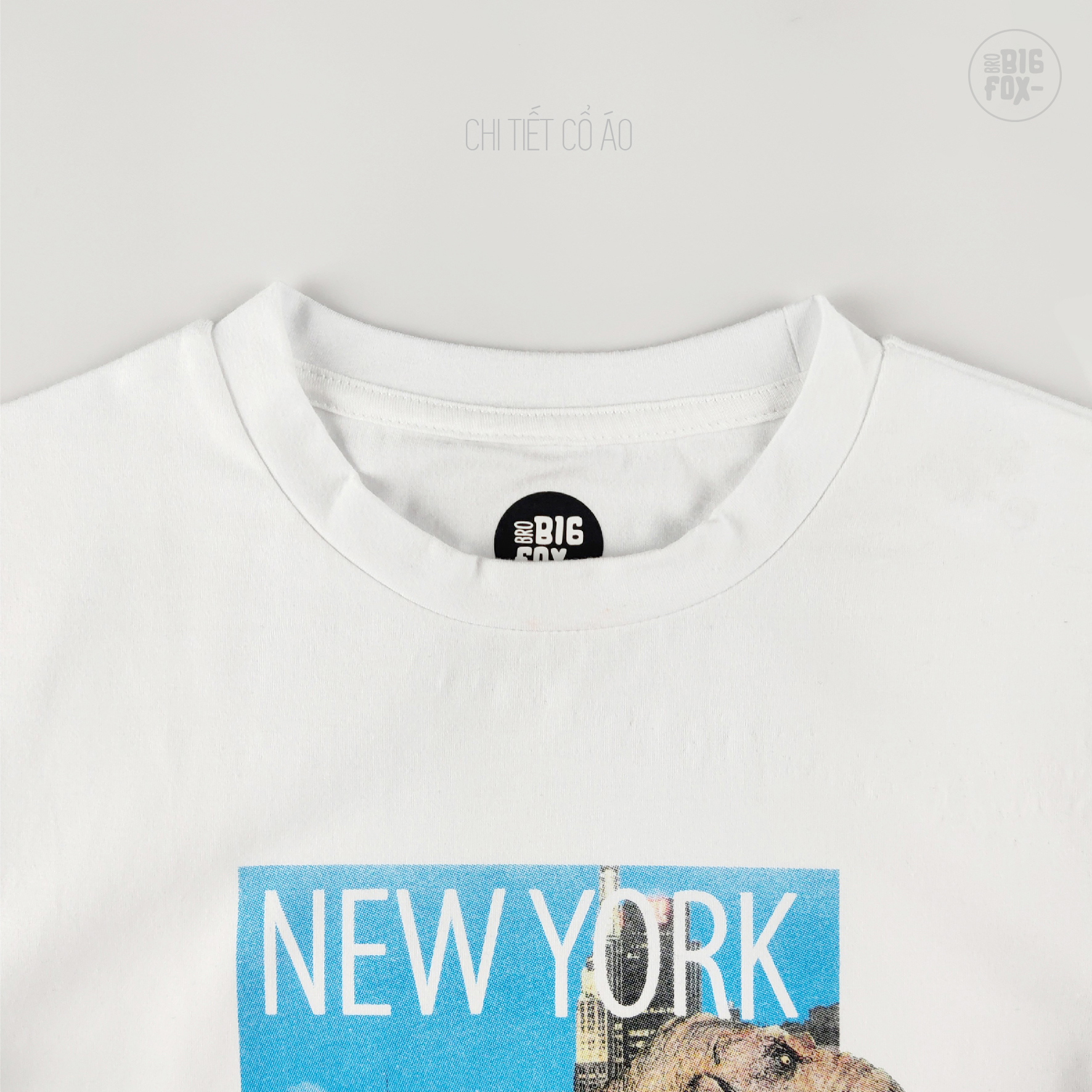 Áo thun bé trai BIGFOX - MISS MEOW size đại, áo cho bé chất cotton phong cách Âu Mỹ in khủng long New York 11 - 40 kg QATE
