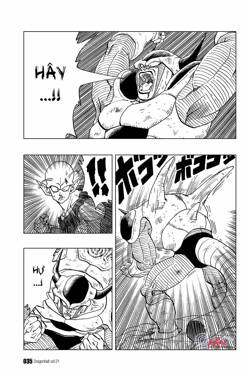 dragon ball - bảy viên ngọc rồng chapter 302 2