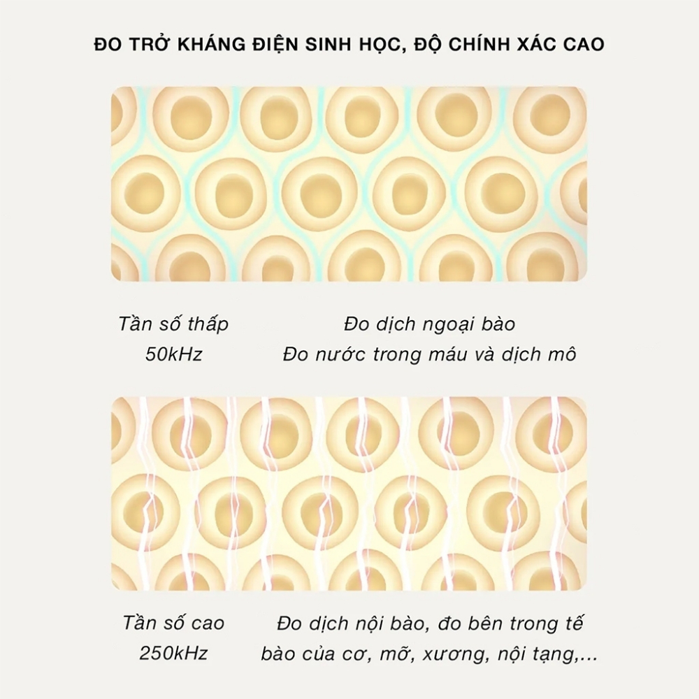 Cân Sức Khỏe Điện Tử Thông Minh Xiaomi S400 Bản Mới 2024 - Hàng nhập khẩu