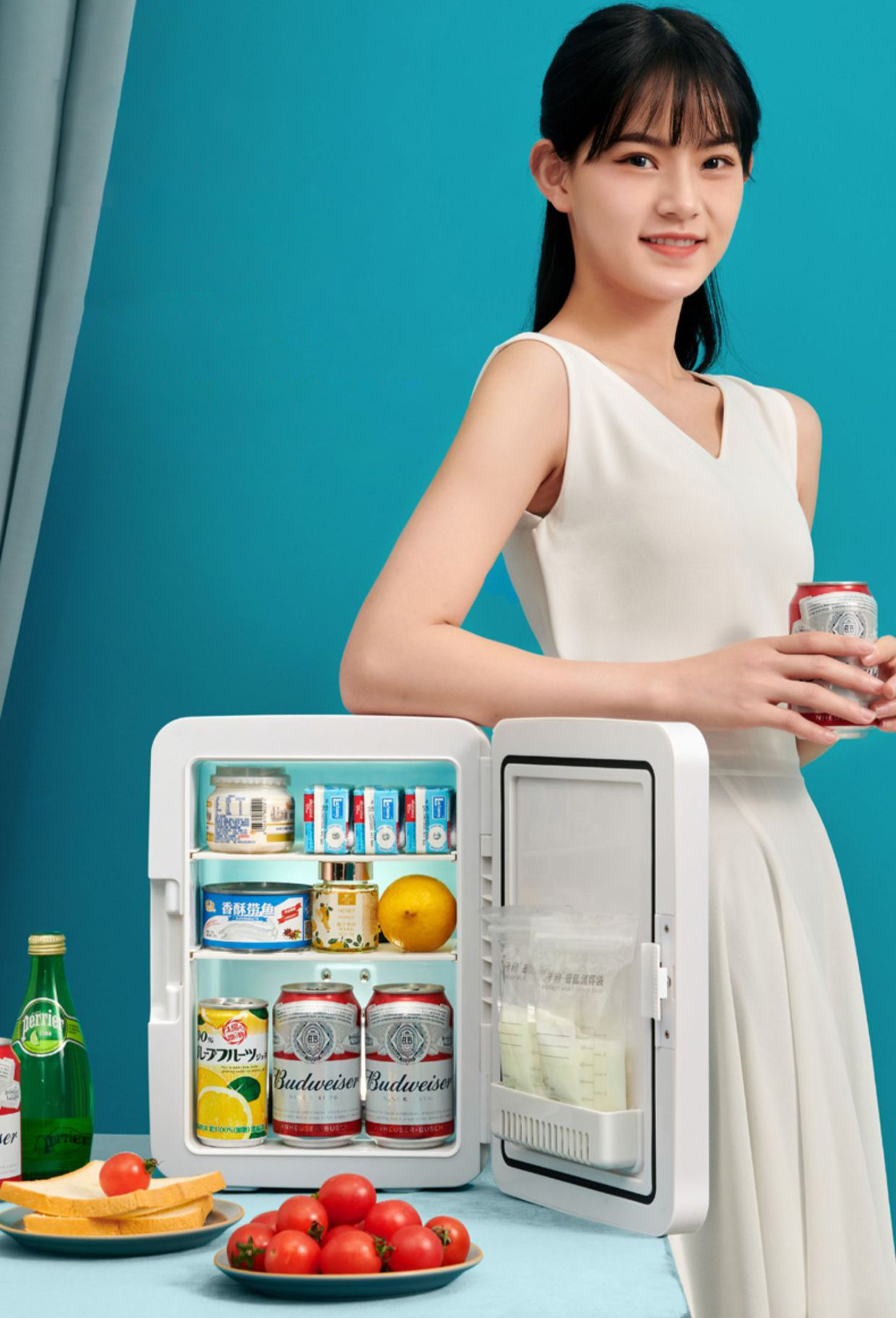 Tủ lạnh mini 22 lít SAST PD-22L đựng mỹ phẩm làm mát nước uống bảo quản hoa quả thực phẩm - Tủ lạnh mini 2 dây nguồn cho gia đình và ô tô