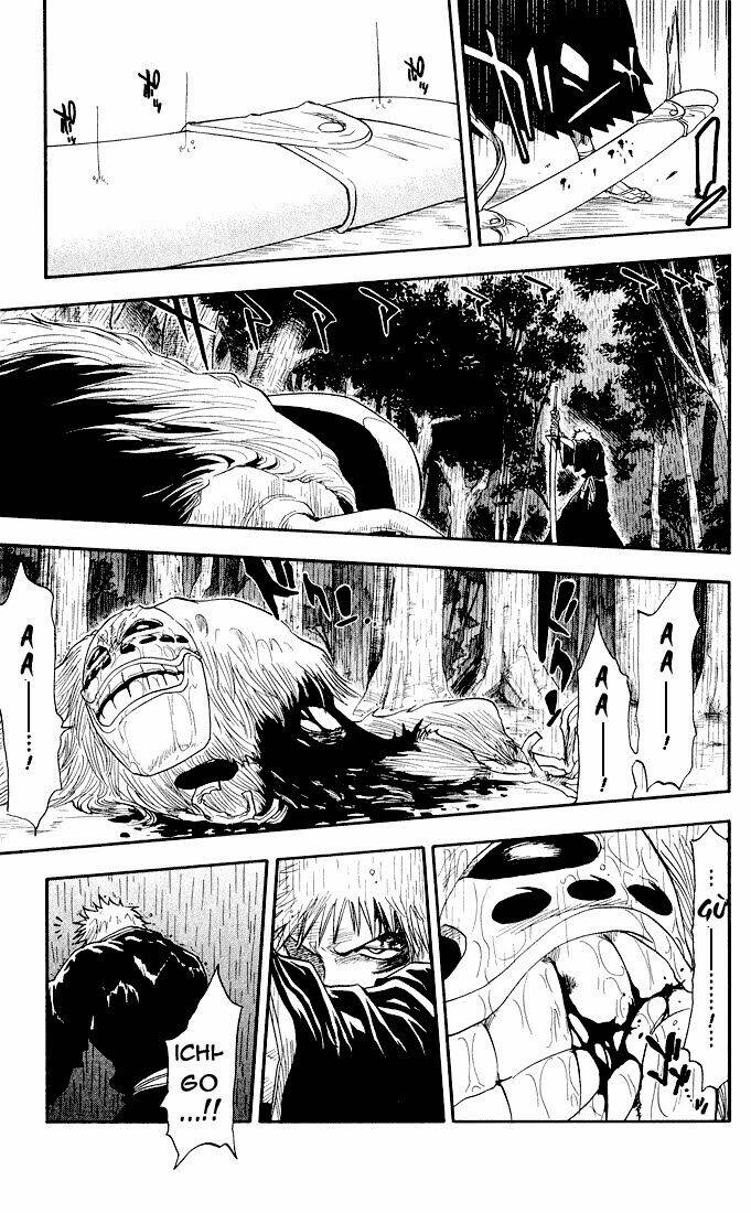 thần chết ichigo chapter 24 10