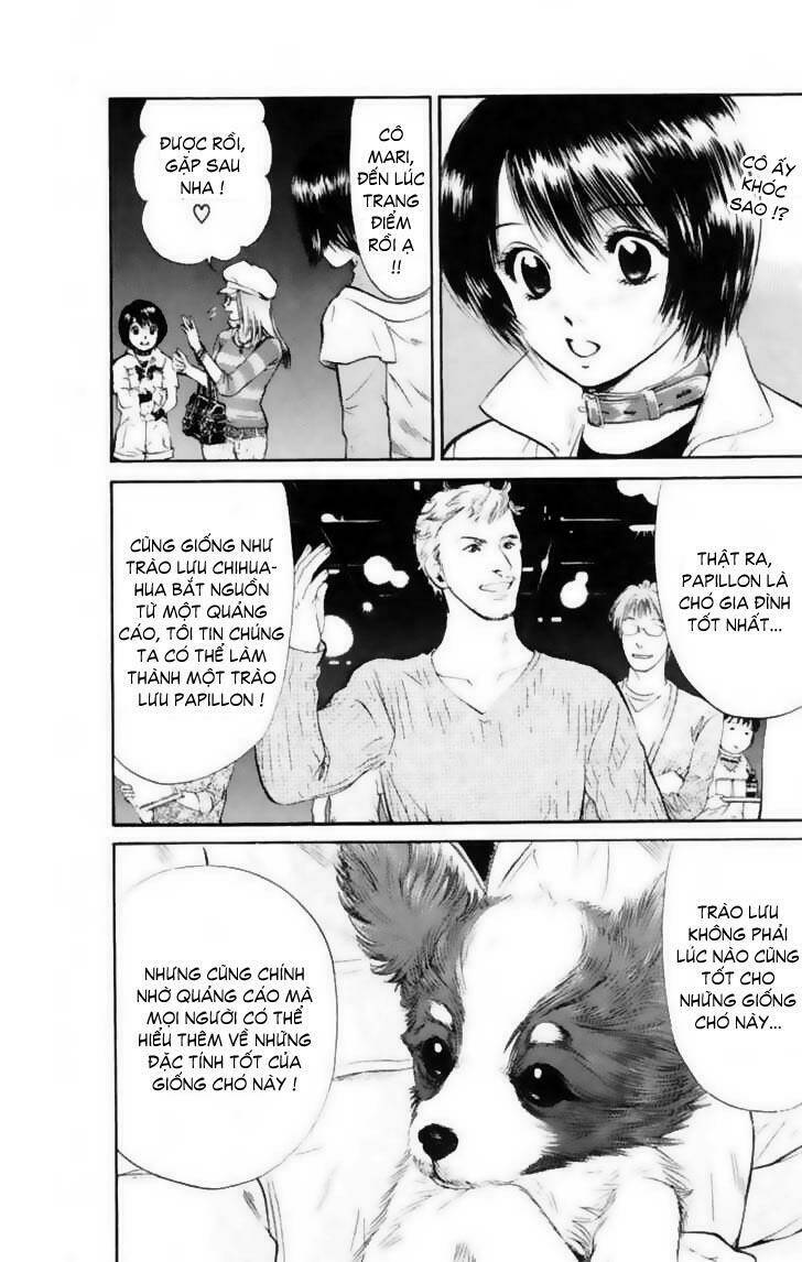 cô nàng yêu chó chapter 12 17