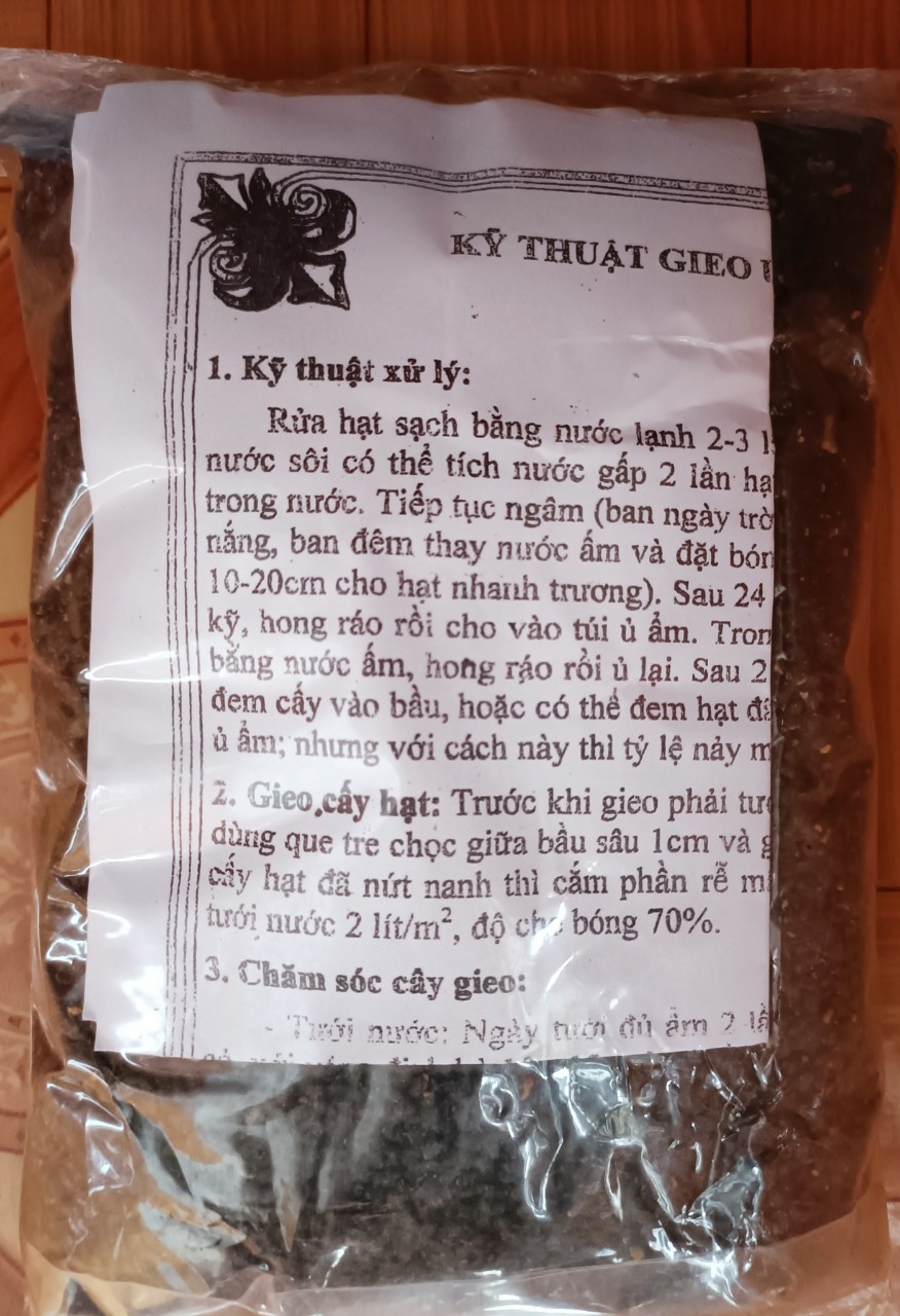Hạt giống keo tai tượng Úc trồng rừng, cải tạo đất - túi 500 gram