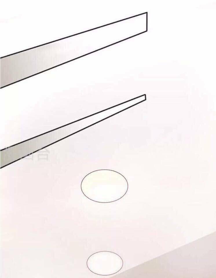 người vợ bí ẩn của tổng tài chapter 20.5 5