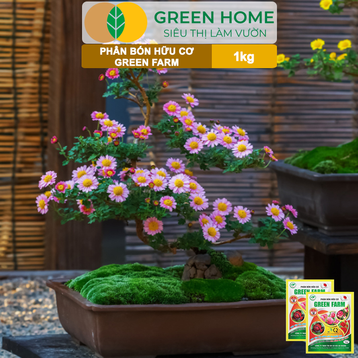 Phân Bón Hữu Cơ Green Farm, GreenHome, Gói 1kg, Chuyên Dùng Cho Cây Cảnh, Hoa Hồng