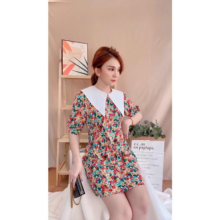 ĐẦM HOA CỔ BÈO NGŨ SẮC BIGSIZE