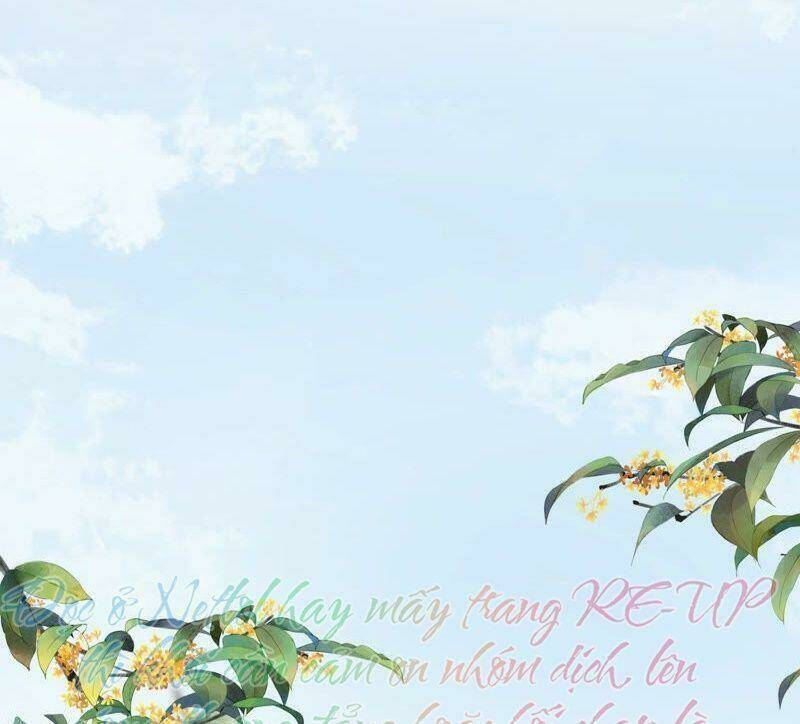 quận chúa vững vàng, thiết lập nhân vật không thể vỡ chapter 27 50