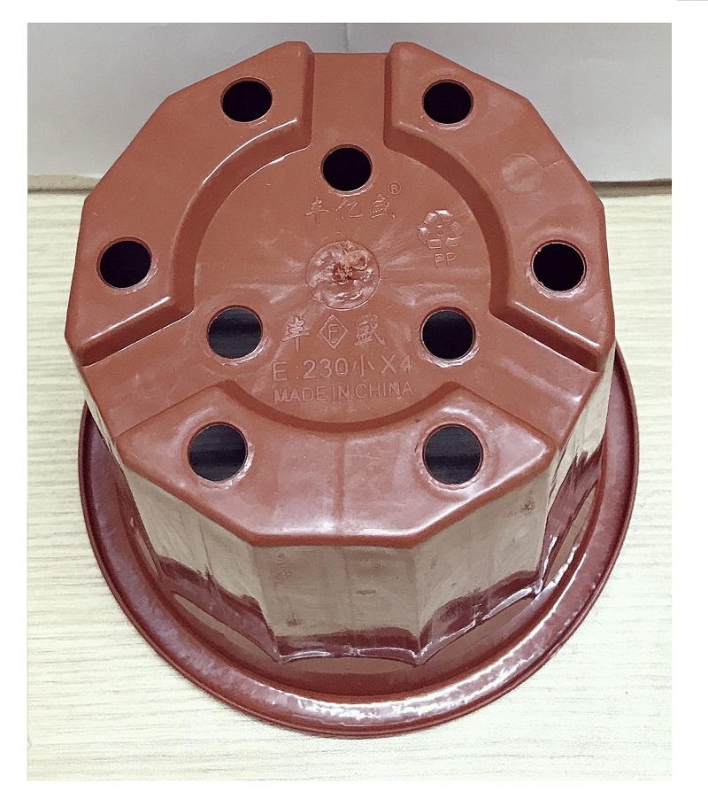 50 Chậu Nhựa Trồng Hoa, Cây Cảnh E230 CN