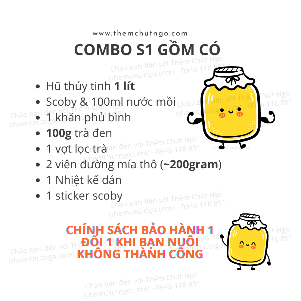 Combo Trà Kombucha 2L đầy đủ nguyên liệu nuôi Scoby làm trà Kombucha (dùng để làm 1,5 lít)