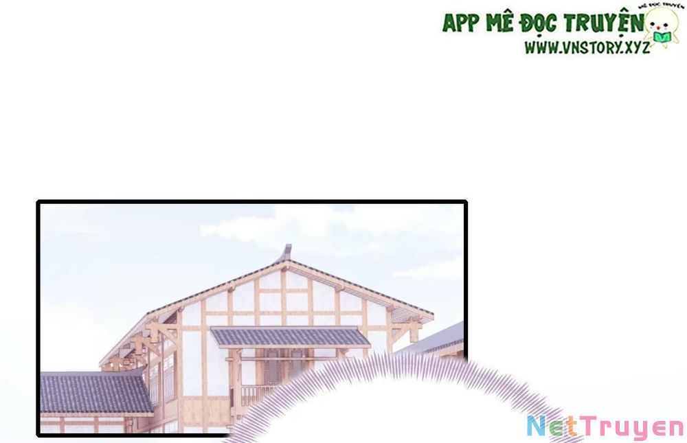 lại bị bệnh chiều chuộng quấn lấy chapter 51 5