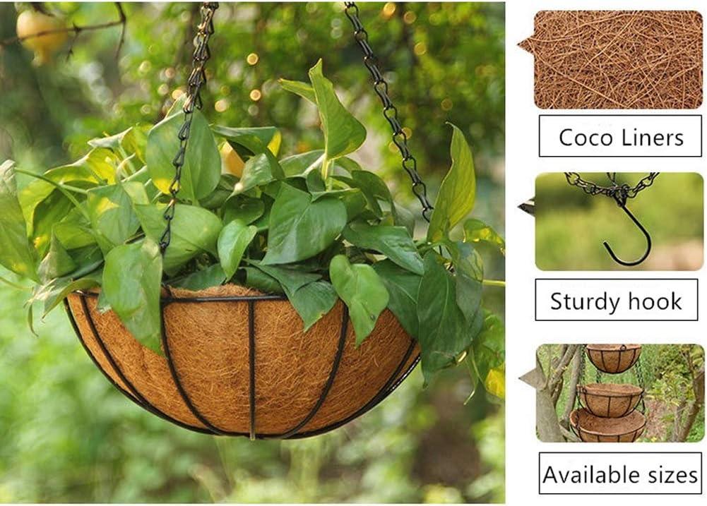 Giỏ treo thực vật 2 mảnh Chậu treo bằng kim loại 20,5cm có lót dừa cho chậu trồng cây có xích, dây Chậu trồng cây treo lớn cho cây ngoài trời