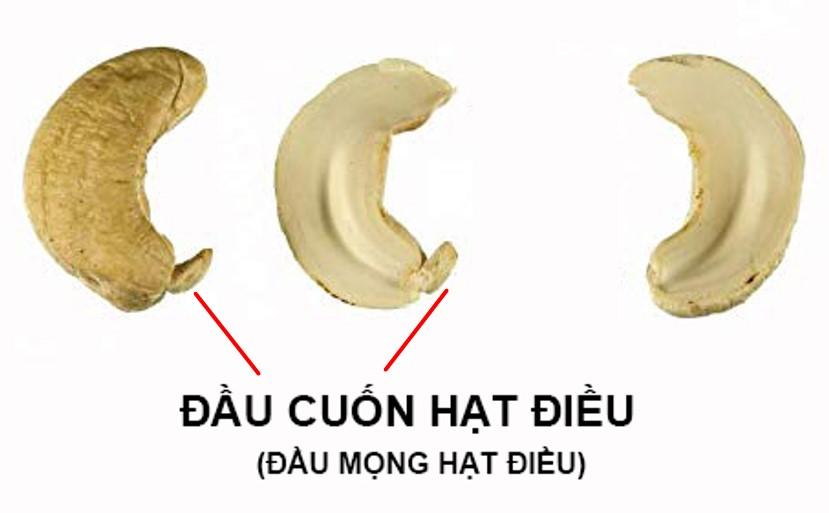 Đầu cuống hạt điều O'Casso ( Mầm điều sống) dùng làm sữa điều, muối mè, bánh kẹo và các món ăn khác dinh dưỡng tốt cho sức khỏe