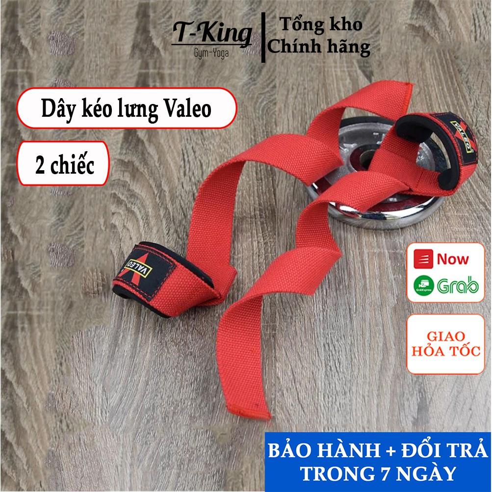 Dây kéo lưng tập GYM Valeeo hãng cao cấp - cực bền ( 1 đôi)