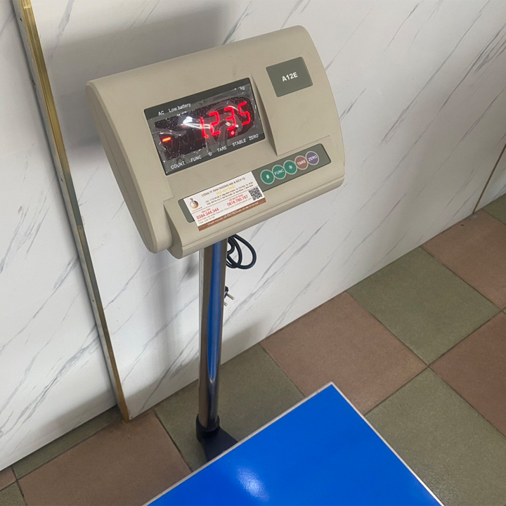Cân điện tử 500kg A12E